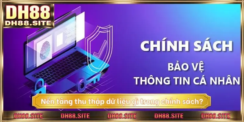 Nền tảng thu thập dữ liệu gì trong chính sách?