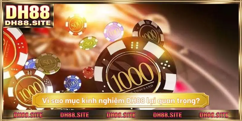 Vì sao mục kinh nghiệm DH88 lại quan trọng?